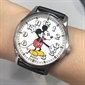 Fossil_SE1112