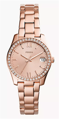 Fossil_ES4318