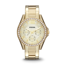Fossil_ES3203