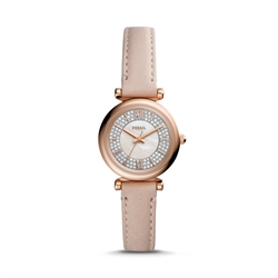 Fossil_ES4839