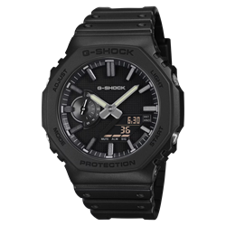 Casio_GA-2100LXB-1A
