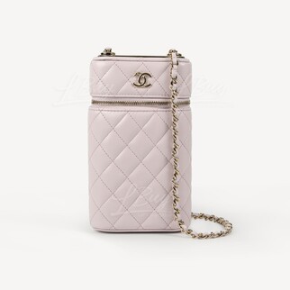 Chanel Gold Metal Light Pink Phone Bag Vanity Case with Chain AP2091