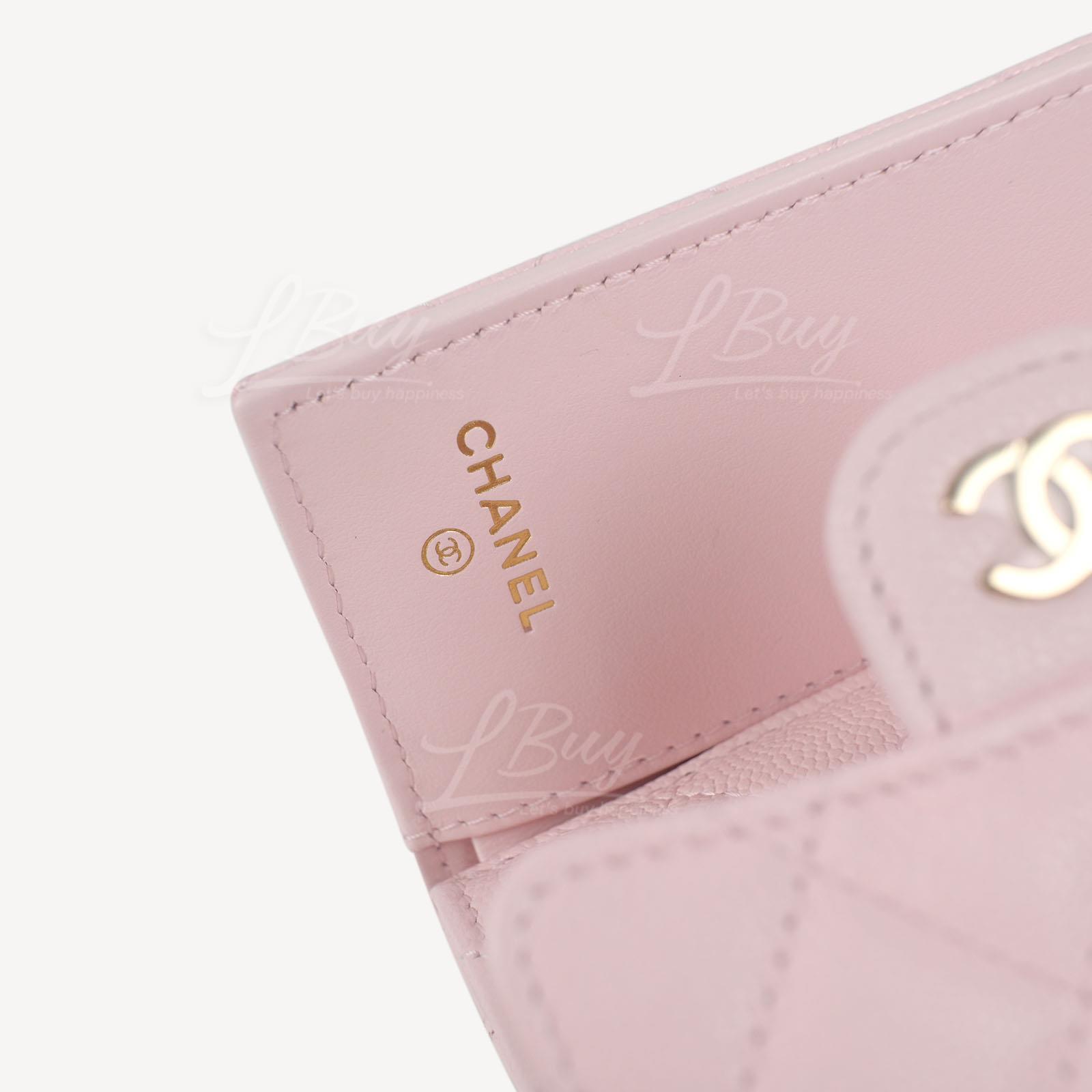 Chanel Classic Pink Small Flap Wallet New Model # NNA824K7