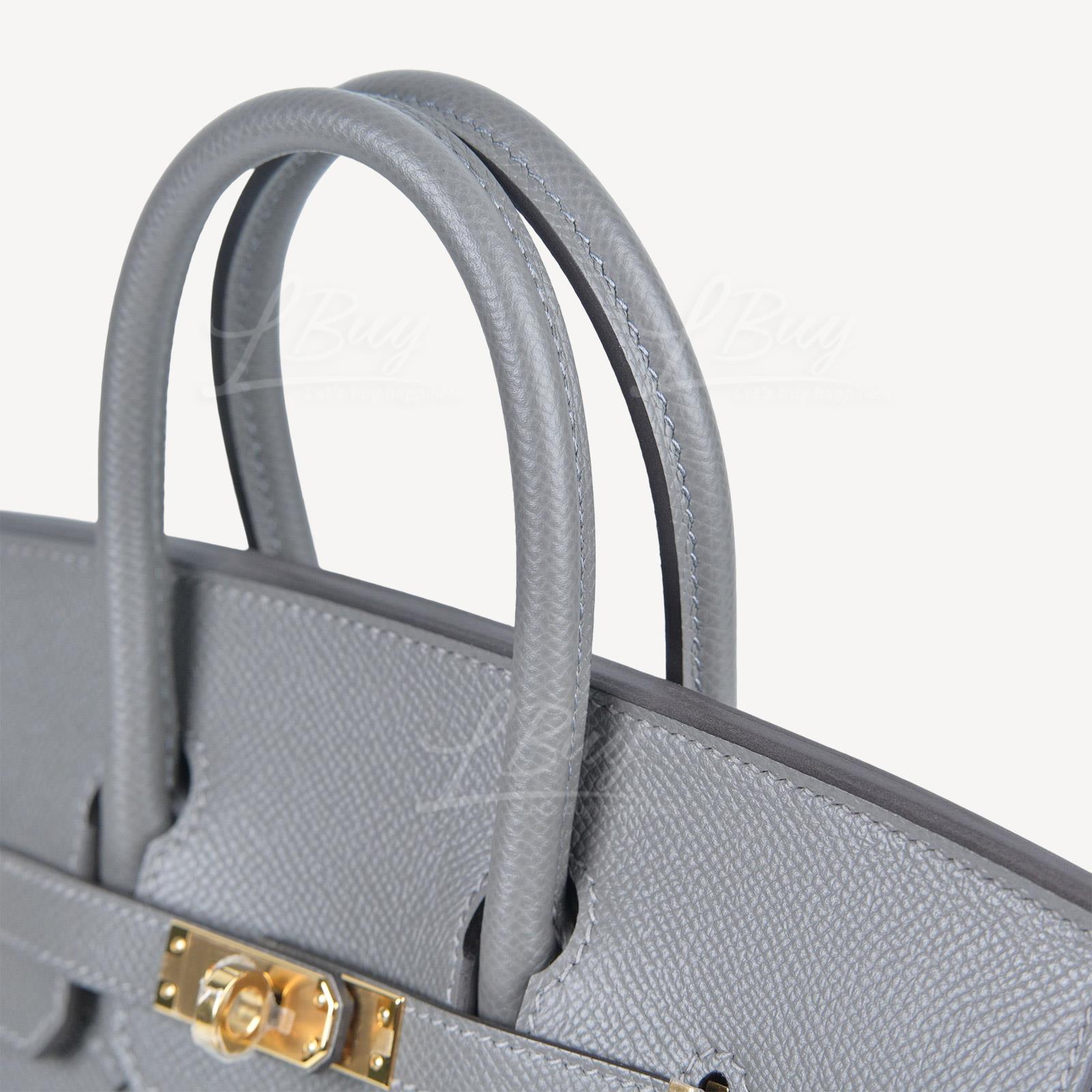 Hermes Birkin 25 Handbag 4Z Gris Mouette Togo GHW