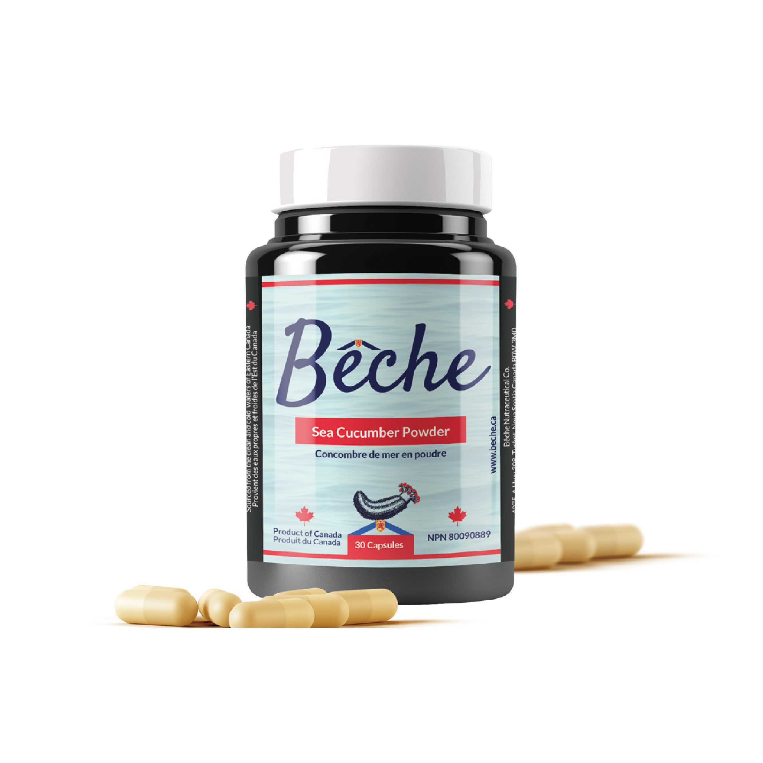 Beche Sea Cucumber PowderHK healthy and organic food choices Organic