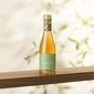 Saicho Sparkling Tea - Hojicha (200ml)