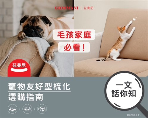 毛孩家庭必看! 寵物友好型梳化選購指南