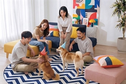 CASEY IV 3008B Bundle Set I