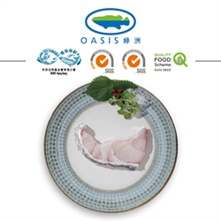 Oasis Giant Grouper Belly