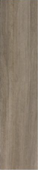 29Y05M-101-31
