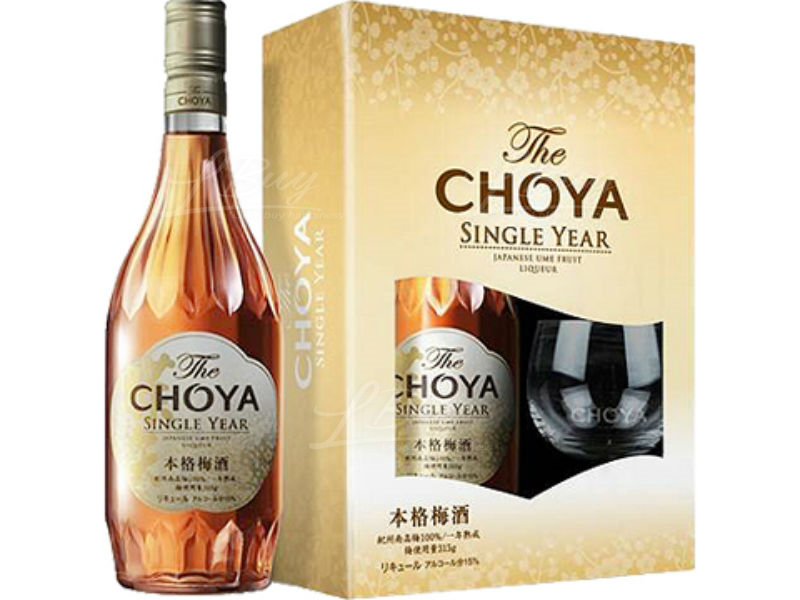 The Choya Single Year with Glass Gift Box