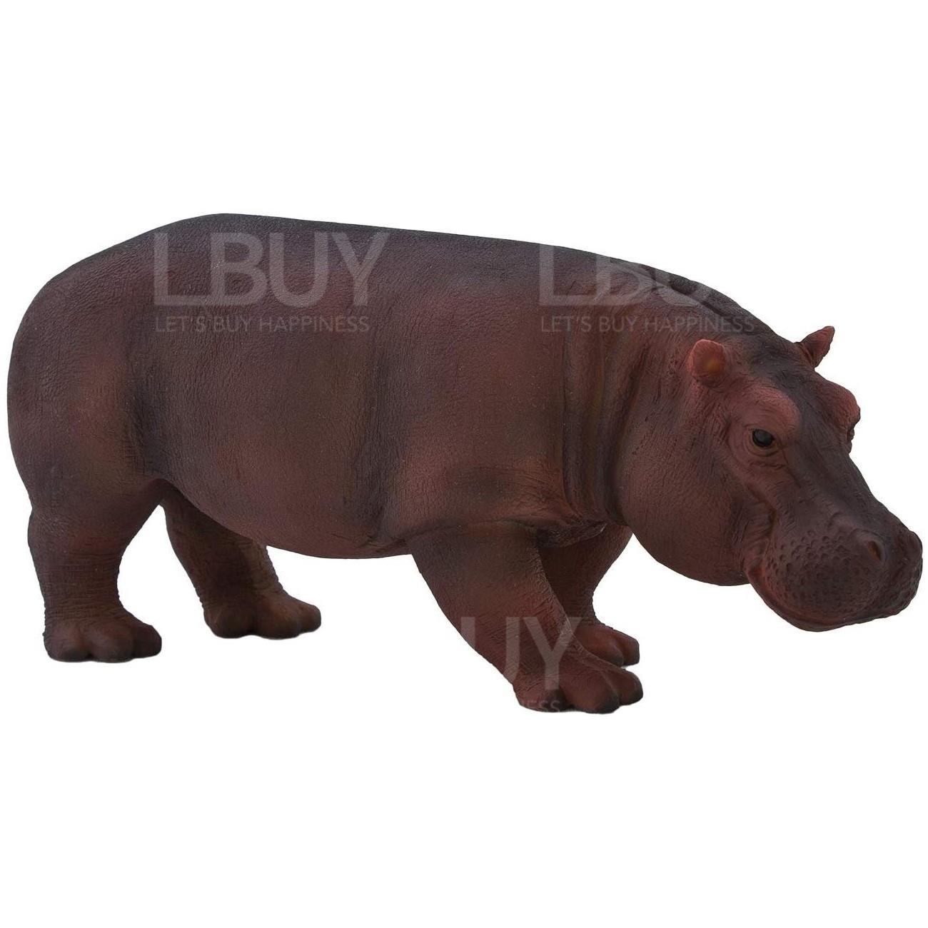 Hippopotamus (Female)