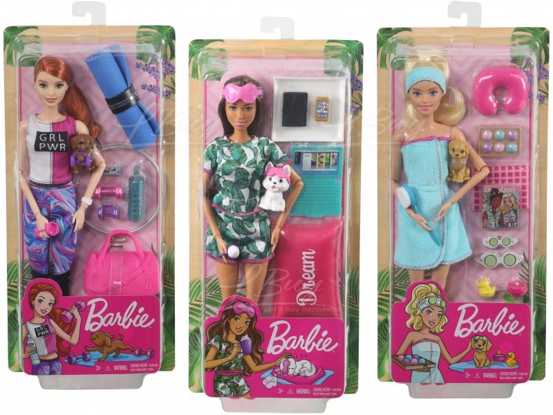 Barbie GKH73 Barbie Wellness Doll Assortment