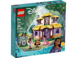 LEGO 43231 Disney Princess Asha