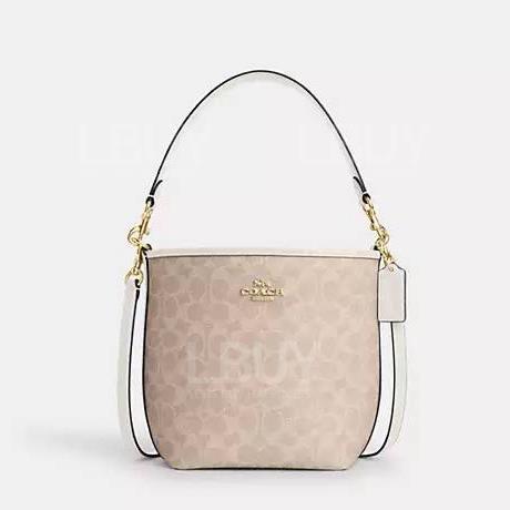 Coach City Bucket Bag In Signature Canvas