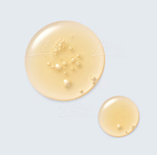 ESTÉE LAUDER 升級再⽣基因修復精華 (小棕瓶) 100ml