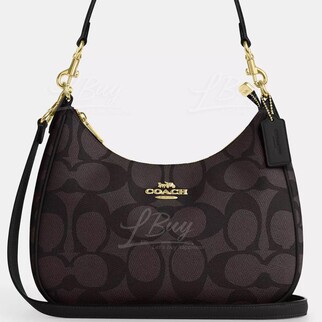 Coach Teri Hobo Bag In Blocked Signature Canvas