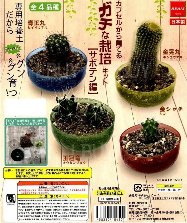 從種子開始的栽培套裝 [仙人掌篇]_ 扭蛋  隨機1款